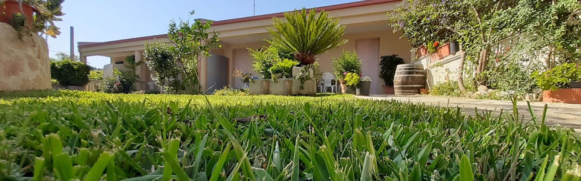 B&B Borgo Minerva