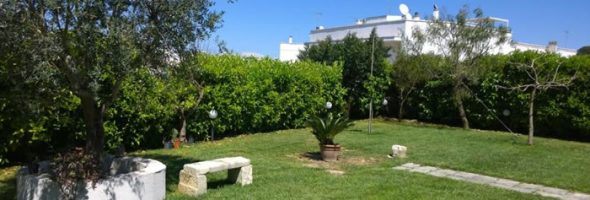 Offerte Speciali